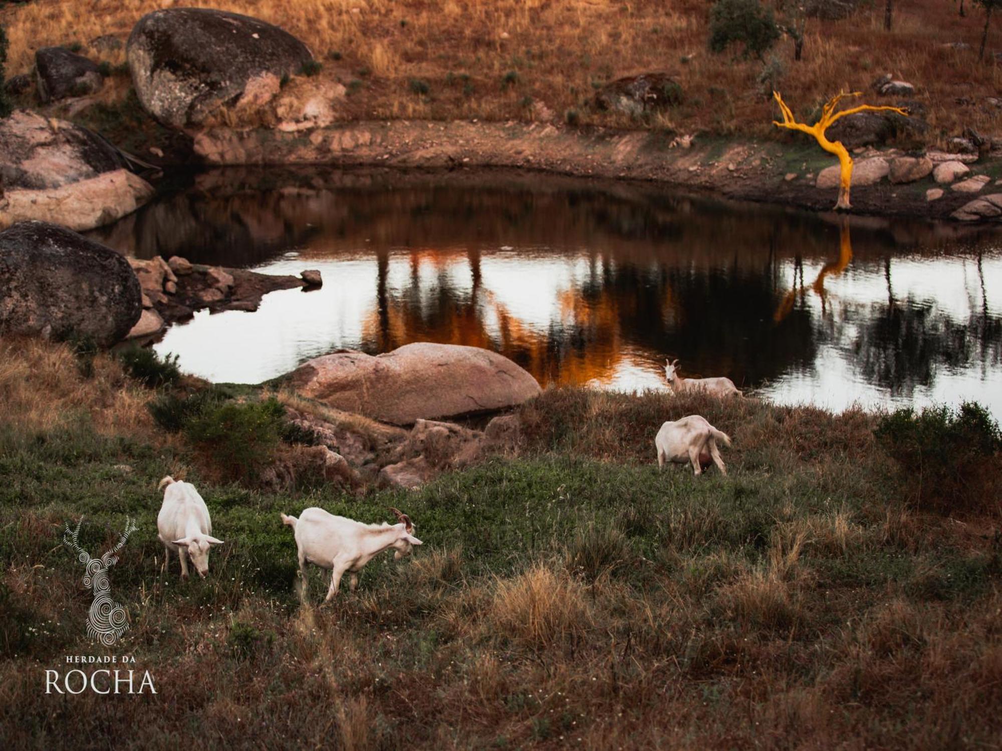 Herdade Da Rocha - Boutique Lodge Crato Exterior foto