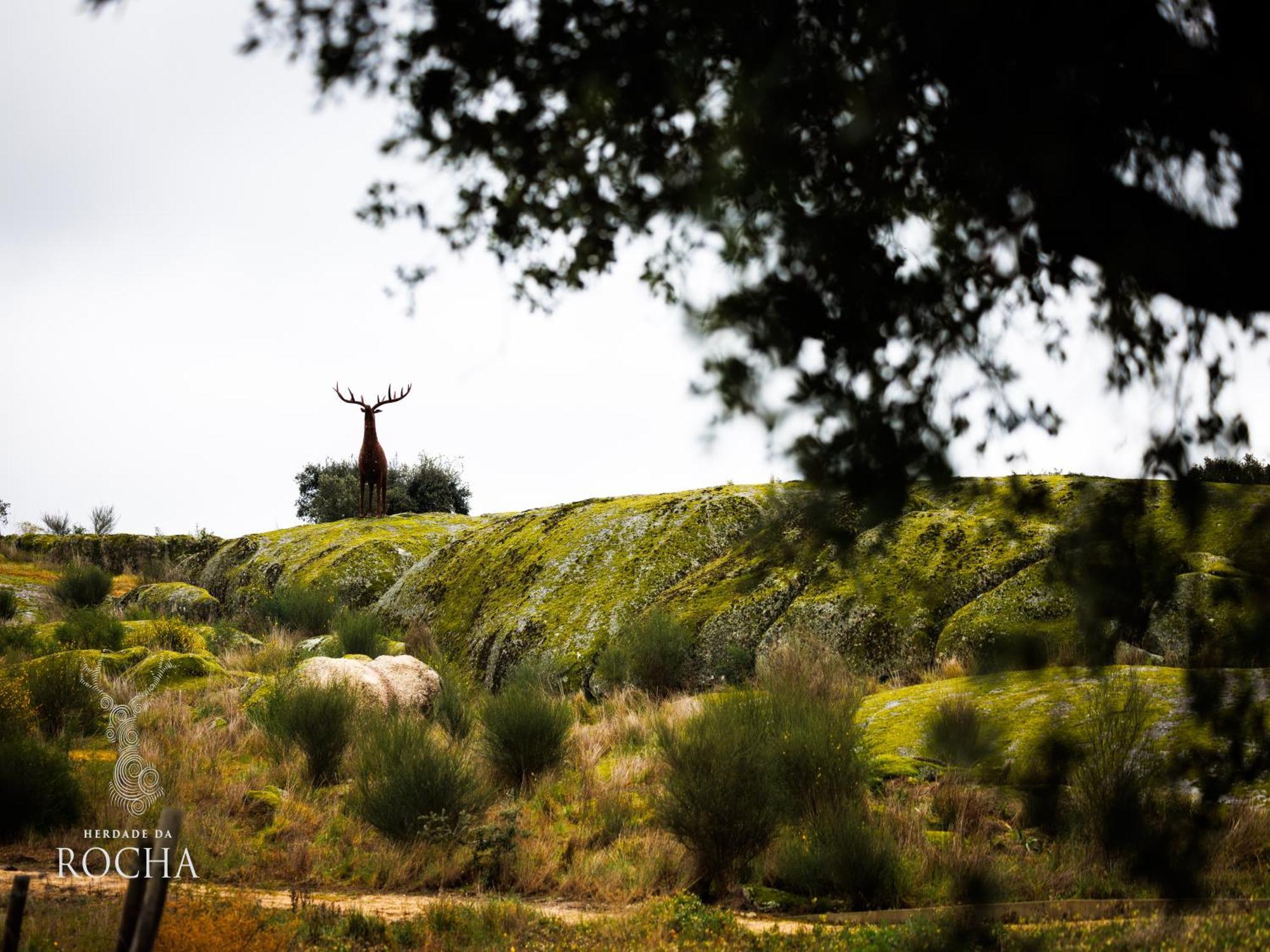 Herdade Da Rocha - Boutique Lodge Crato Exterior foto